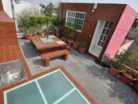 Roof Garden